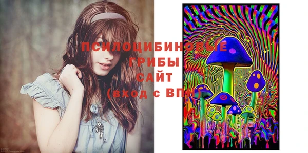 мяу мяу мука Алексеевка