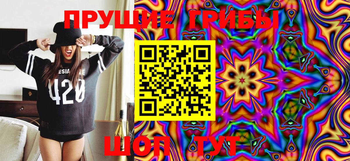 Новоуральск  Галлюциногенные грибы MAGIC MUSHROOMS  Вход с VPN 