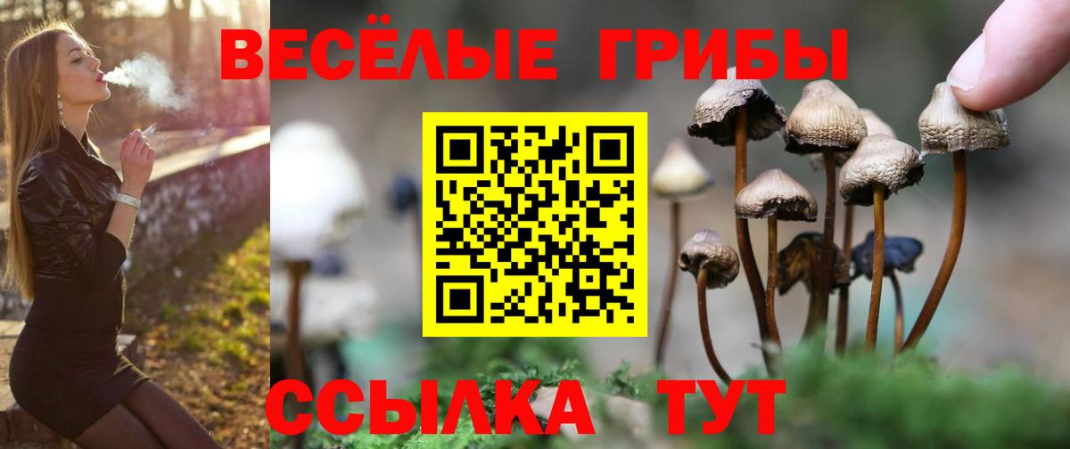 Псилоцибиновые грибы MAGIC MUSHROOMS Новоуральск